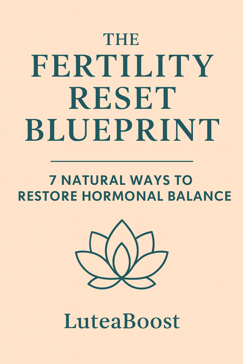 The Fertility Reset Blueprint eBook